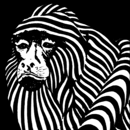 Logo Ginásio Muro